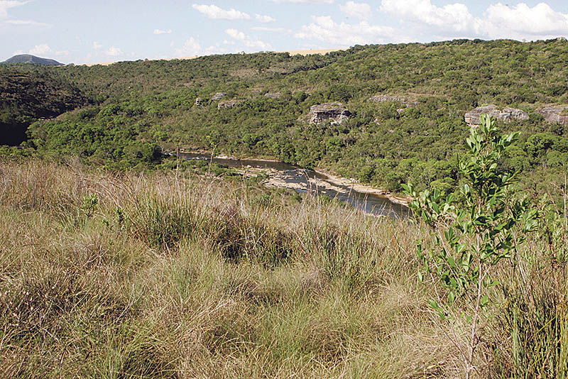 escarpa devoniana 2017 parque cerrado henry milleo - Proposta de reduzir área de preservação gera embate entre ambientalistas e setor produtivo