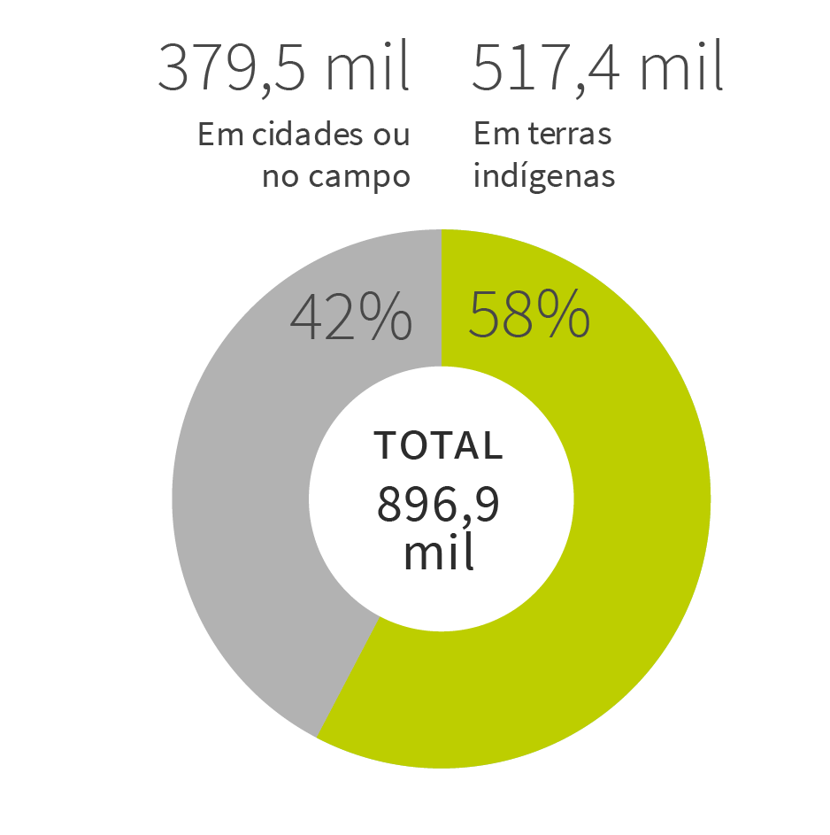 Gráfico: População de índios no Brasil. 517 mil (58%) índios vivem em terras indígenas; 380 mil (42%) vivem no campo ou nas cidades