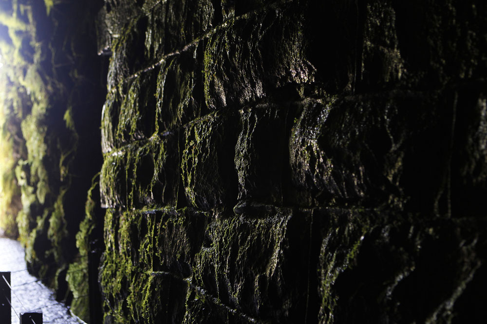 Paredes laterais do túnel cobertas por musgos devido à umidade do local. (Foto: Jonathan Campos/GP)